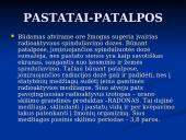 Radioaktyvumas buityje 4 puslapis
