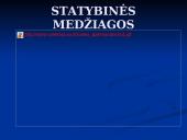 Radioaktyvumas buityje 9 puslapis