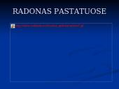 Radioaktyvumas buityje 10 puslapis