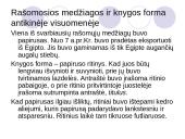 Rašto ir rankraštinės knygos svarba antikinėje visuomenėje 6 puslapis