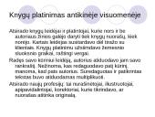 Rašto ir rankraštinės knygos svarba antikinėje visuomenėje 10 puslapis