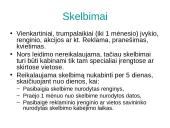 Reklamos teisinis reglamentavimas 12 puslapis