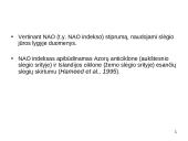 Sąryšis tarp NAO ir temperatūros bei kritulių kiekio Europoje (žiemos sezonu) laiko atžvilgiu 7 puslapis