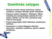 Senovės Japonija 13 puslapis