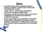 Senovės Japonija 4 puslapis