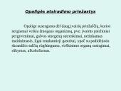 Skrandis, skrandžio ligos 13 puslapis