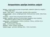 Skrandis, skrandžio ligos 14 puslapis