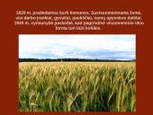 Stalinizmo laikotarpis Sovietų Sąjungoje 14 puslapis