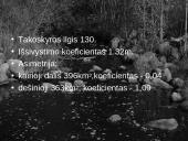 Strėvos ir Jiesios upių baseinai 6 puslapis