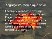 Suaugusio ir senstančio žmogaus raida (35-60) 8 puslapis