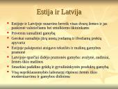 Suomija, Estija ir Latvija tarpukario metais 14 puslapis