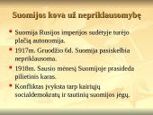 Suomija, Estija ir Latvija tarpukario metais 6 puslapis