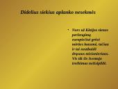 Šv. Pranciškus Ksaveras. Gyvenimo istorija 8 puslapis