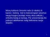 Vaizdinės priemonės. Skaidrių parengimas 14 puslapis