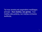 Vaizdinės priemonės. Skaidrių parengimas 16 puslapis