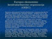 Vakarų Europa po Antrojo pasaulinio karo. Integraciniai procesai 7 puslapis