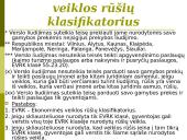 Verslo liudijimai 11 puslapis