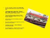 Vokietija - svarbiausia Europos pramonės šalis 11 puslapis