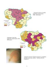 Erkių platinami ligų sukėlėjai. Jų paplitimas Lietuvoje 9 puslapis