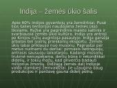 Viskas apie Indiją 7 puslapis