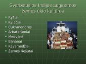 Viskas apie Indiją 8 puslapis