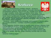 Projektinis darbas "Lenkija"  11 puslapis