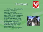 Projektinis darbas "Lenkija"  19 puslapis