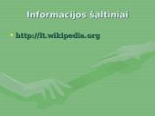 Projektinis darbas "Lenkija"  20 puslapis