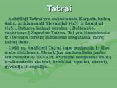 Projektinis darbas "Lenkija"  3 puslapis