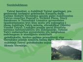 Projektinis darbas "Lenkija"  4 puslapis