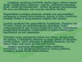 Projektinis darbas "Lenkija"  10 puslapis