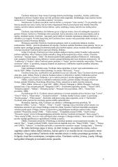 Apie Mikalojų Konstantiną Čiurlionį 4 puslapis