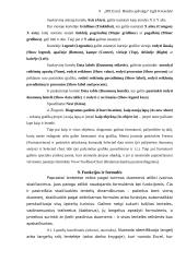 Ms Excel. Bendra apžvalga 9 puslapis