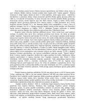 Piratai jūroje 2 puslapis