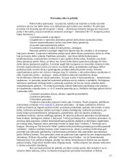 Pertraukų ir kartojimo mokantis svarba ir tyrimas 12 puslapis