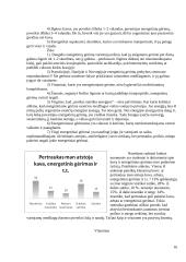 Pertraukų ir kartojimo mokantis svarba ir tyrimas 16 puslapis