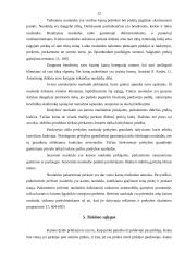 Kainodaros organizavimas AB "Lifosa" 12 puslapis