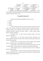 Kainodaros organizavimas AB "Lifosa" 14 puslapis