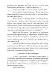 Kainodaros organizavimas AB "Lifosa" 17 puslapis