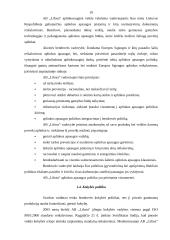 Kainodaros organizavimas AB "Lifosa" 19 puslapis