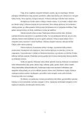 B. Vilimaitė "Kačiukas" 3 puslapis