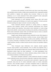 Teisinė atsakomybė: rūšys, atsiradimo sąlygos ir principai 3 puslapis