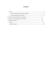 Lietuvos ir Lenkijos viešojo valdymo reformų lyginamoji analizė 2 puslapis