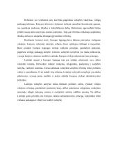 Lietuvos ir Lenkijos viešojo valdymo reformų lyginamoji analizė 17 puslapis