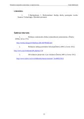 Reklaminės kampanijos planavimas ir organizavimas 12 puslapis