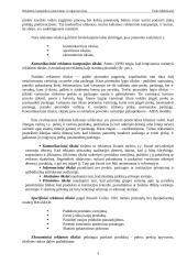 Reklaminės kampanijos planavimas ir organizavimas 3 puslapis