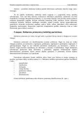 Reklaminės kampanijos planavimas ir organizavimas 6 puslapis