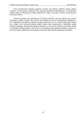 Reklaminės kampanijos planavimas ir organizavimas 10 puslapis