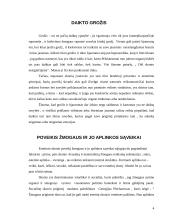 Estetikos skonis 4 puslapis