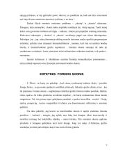 Estetikos skonis 5 puslapis